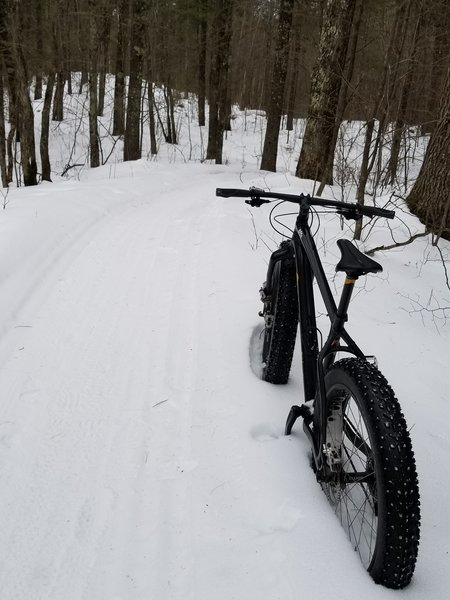 Trails are well groomed for fatbikes.