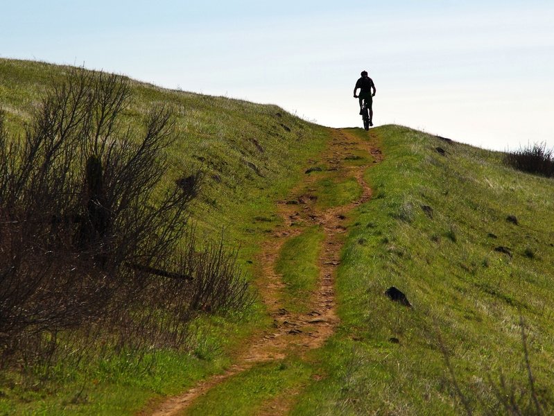 Biking Atwood Road