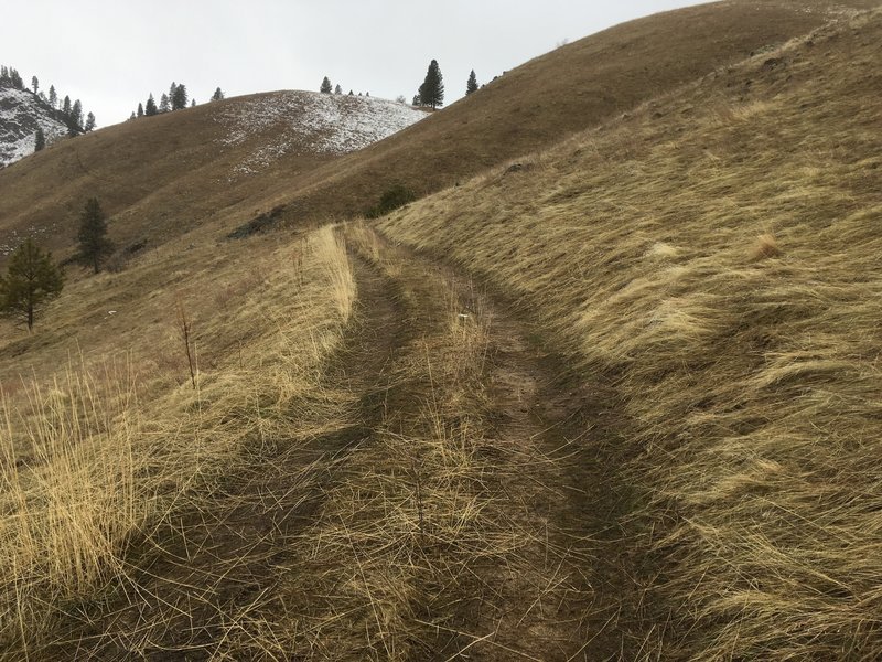 The trail gets smoother as you climb up out of the canyon, but it's nearly as steep.