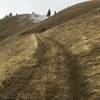 The trail gets smoother as you climb up out of the canyon, but it's nearly as steep.