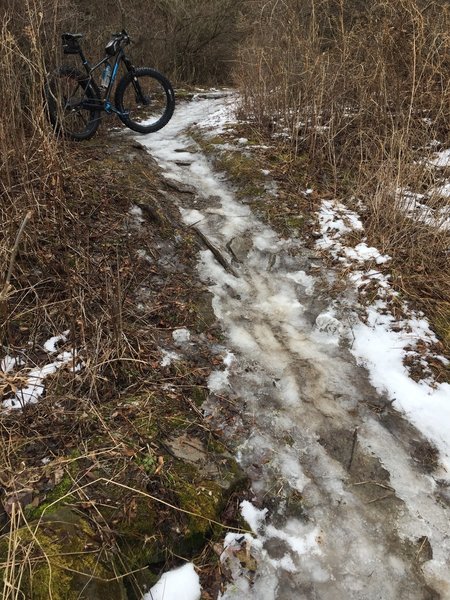 Short steep climb as you leave the open field...climb continues into the woods from here.