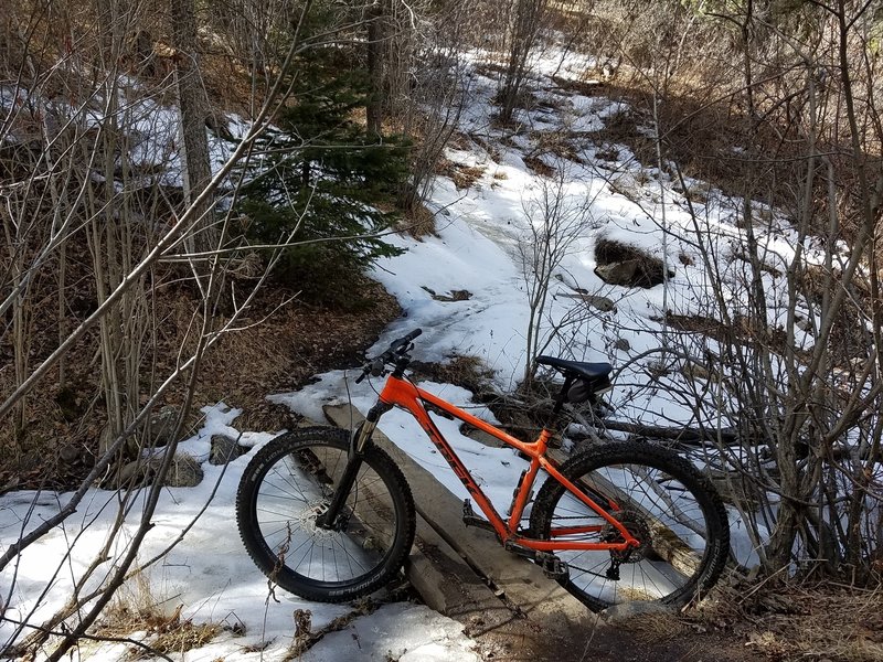 Crossing bear creek