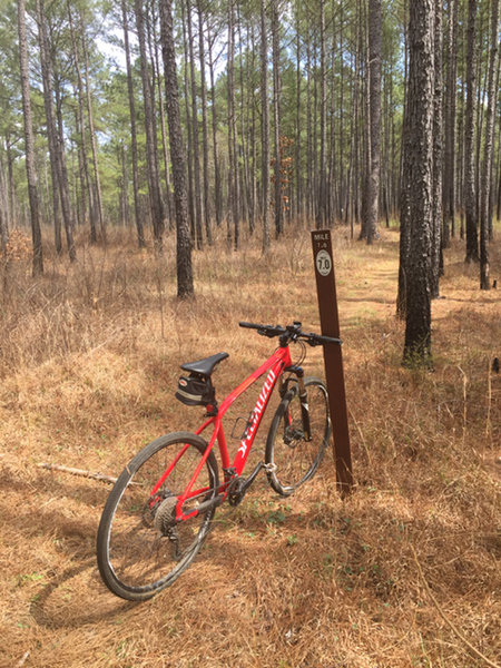 Clear mile markers. Mile 7 is the end of the trail - either turn around or take a shortcut back along the gravel forest service road.