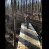 The Boy & Eagle Scouts have done it again. They've built a new bridge on Red Trail.