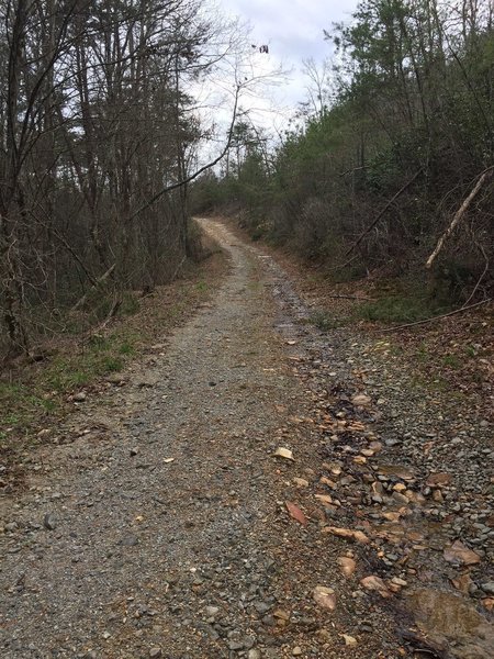 Typical gravel road conditions in the Pine Log WMA