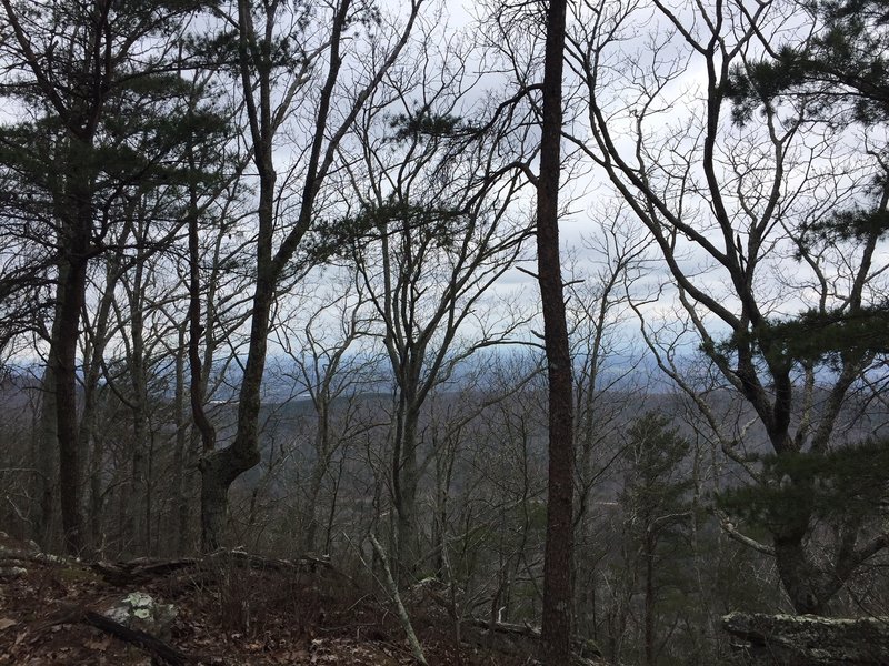 View from near the top of Hanging Mountain. If you've made it here without "hiking a bike" congratulations!