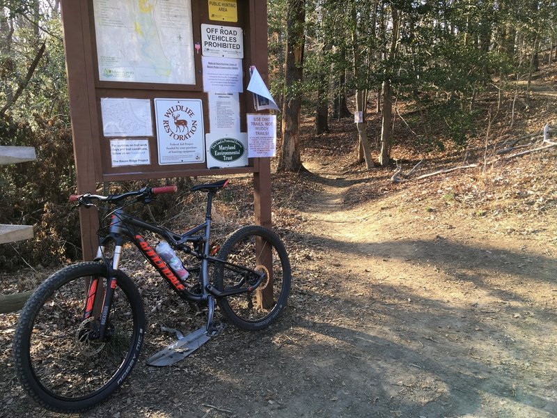 Leaving for a ride from the trailhead off of phase 1.