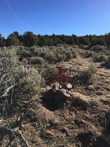 There is small arroyo behind the sign: it's downhill from there.