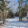 Fresh snow on Hang Glider Road.