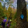 Top section of Cranberry Ridge Trail