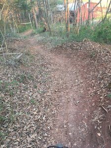 Mountain Bike Trails near Charles D. Owen Park