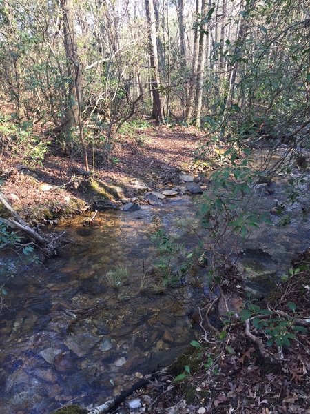 Creek Crossing