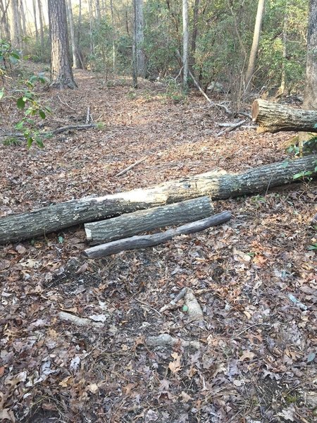 Log ride-over