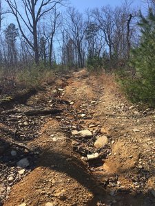Steep logging road climb