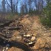 Steep logging road climb