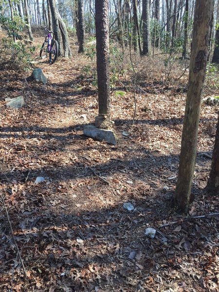 Trail intersection on top of Hanging Mountain (stay right for easier descent)