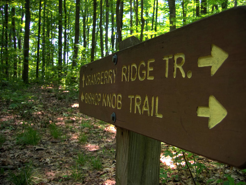 Trail Sign.