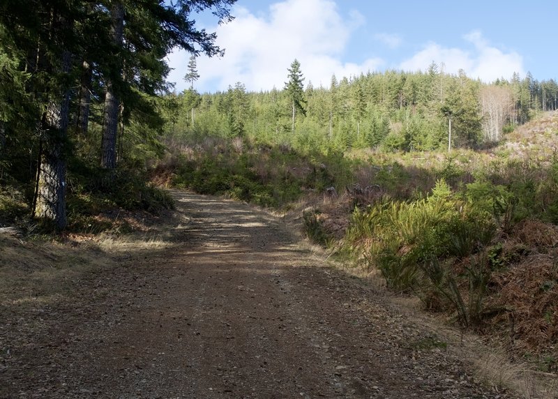 Bottom of road GM-17