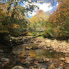 Cranberry River confluence with North Fork tributary.