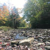 Cranberry River looking upstream.