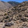 The trail down from the highpoint, heading south.