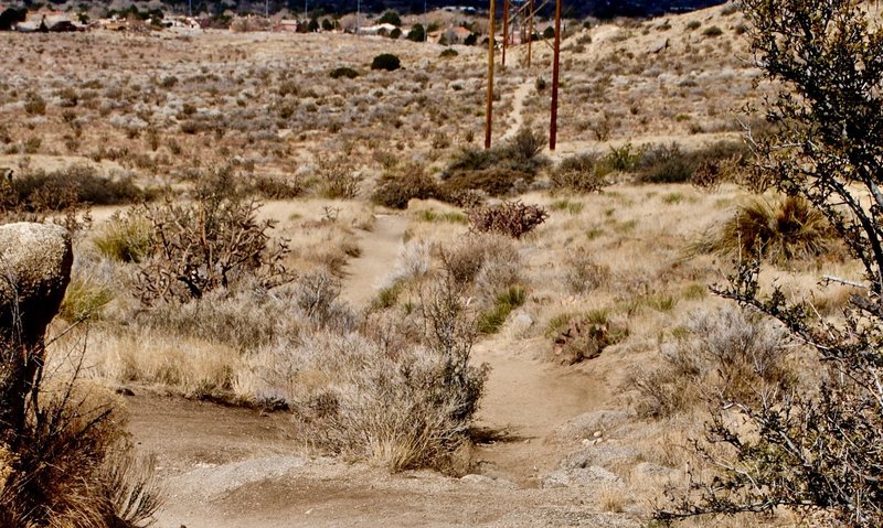 Chill downhill heading north in Embudo Canyon.