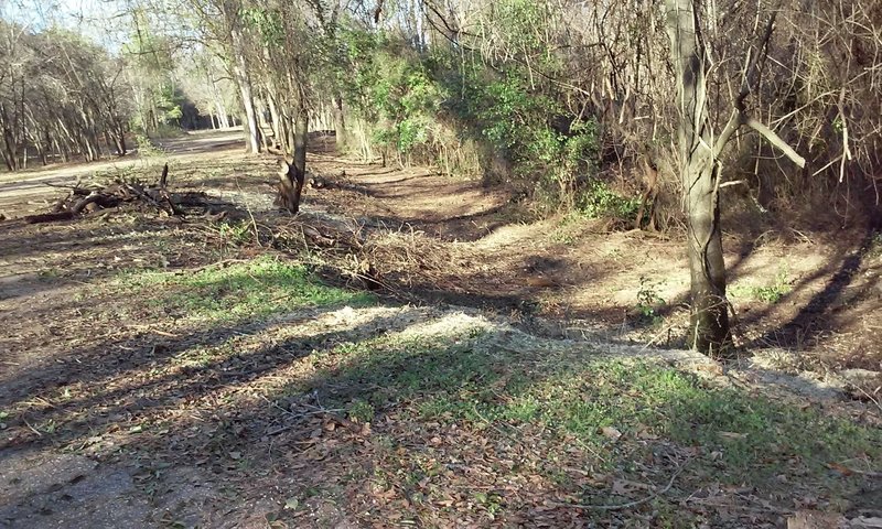 Forest Road Trail