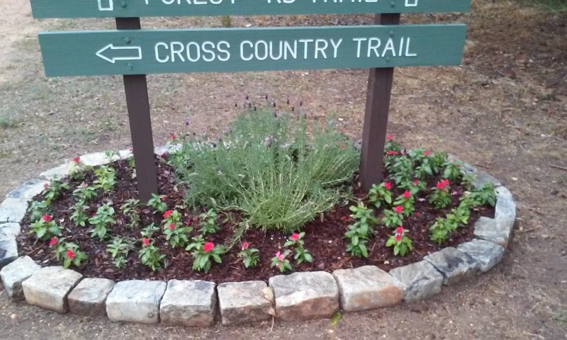 Southern Cross Country trailhead at Hick's Field.