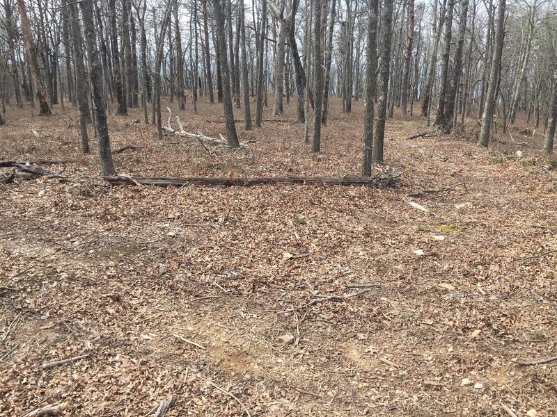 ATV crossing. Both sides seem used but may head onto private property.