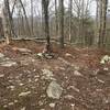 Ridgeline Trail and Pine Log Gap Road Downhill intersection