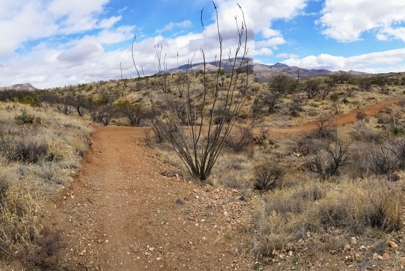 Beautiful banked trails