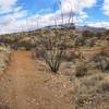 Beautiful banked trails