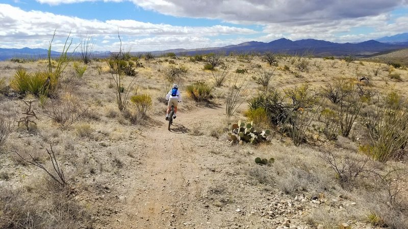 Mostly beginner friendly.  My 12 year old loved it.