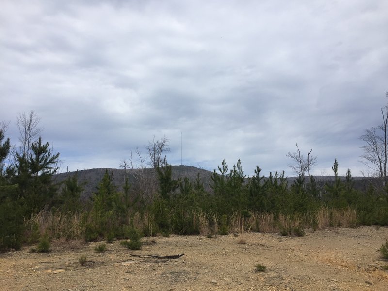 View from the end of Donahue Road