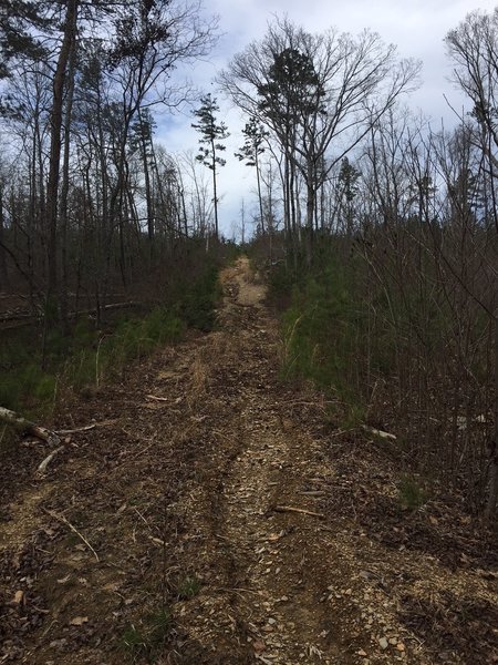 Road really deteriorates as you near the end.