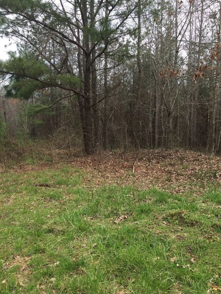 Hard to see southern entrance/exit to singletrack directly from Donahue Road