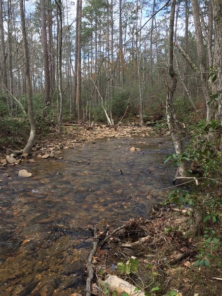 Remote section of Stamp Creek just off trail.