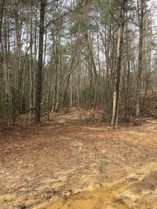Entrance to Creek Crosser Camp Trail. Trail is sometimes very difficult to follow, especially if high water has pushed debris up on to it.