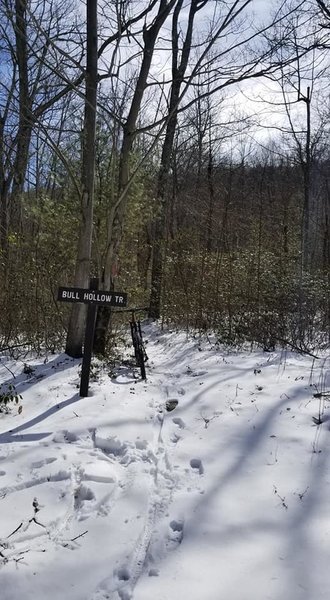 Bull Hollow TrailHead from Red Ridge Rd