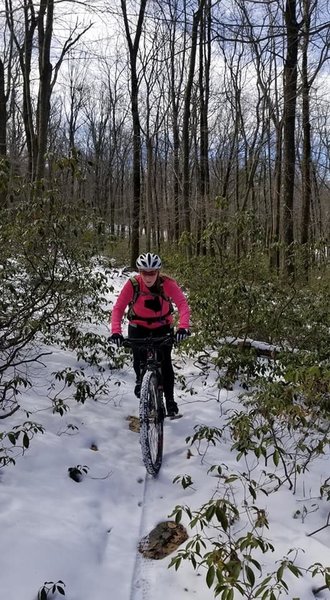 Bull Hollow Trail