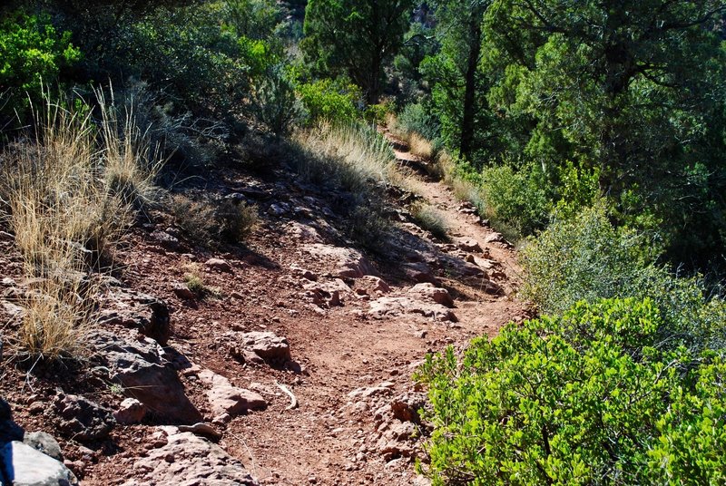 Nice, rocky singletrack.