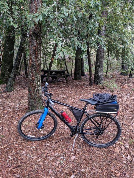 Camping site at Castle Rock Trail Camp