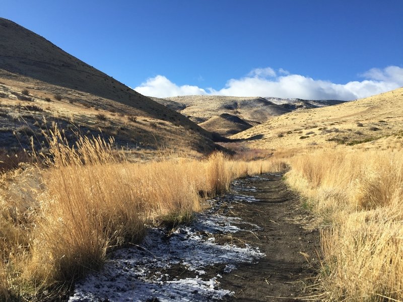 Beautiful views as you head up and west into the foothills of the Carson Range.