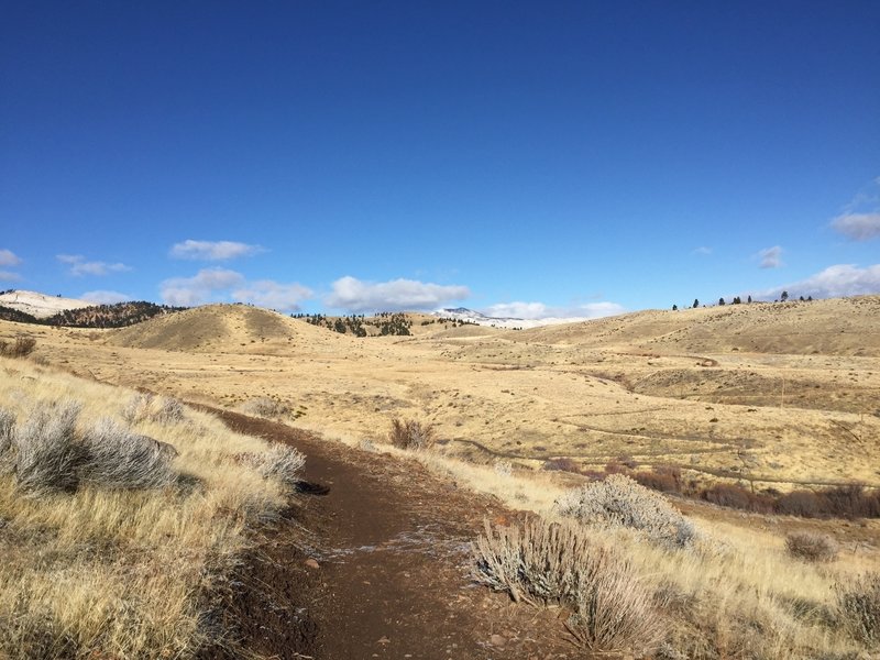 Lots of solitude as you traverse across broad fields dotted with sage and rabbitbrush.