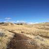 Lots of solitude as you traverse across broad fields dotted with sage and rabbitbrush.