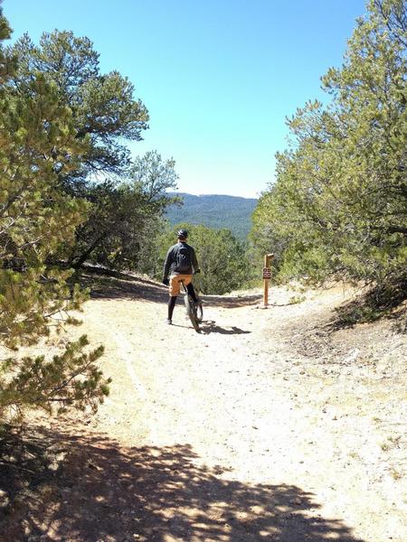 Looking west towards Sandia