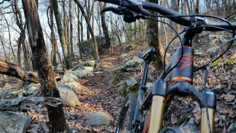 Typical rustic trail through the boulder fields at Cheaha State Park.