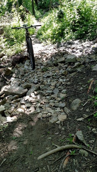 Rocky crossing below Volker Spring