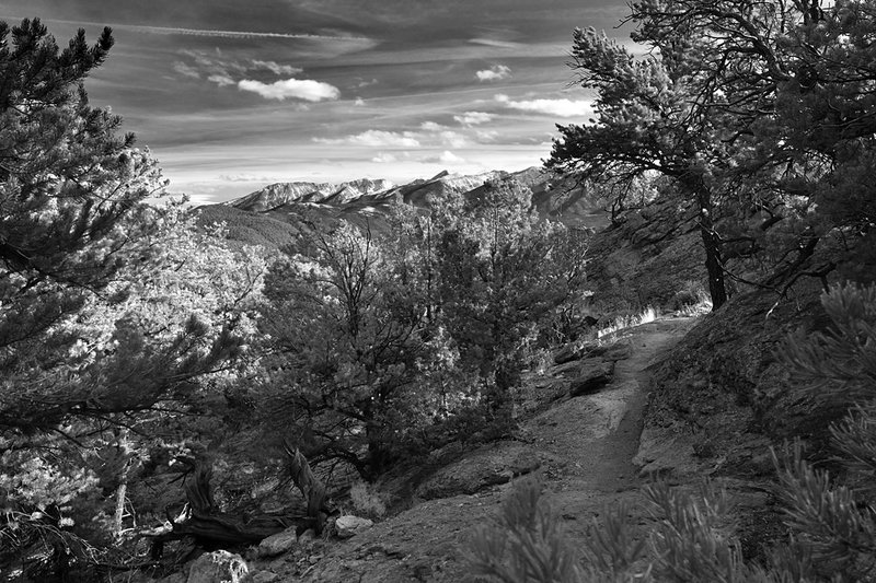 View along the Pauli trail