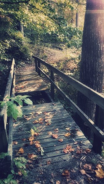 Gap jump?  Nancytown/Lake Russell trail goes around this bridge